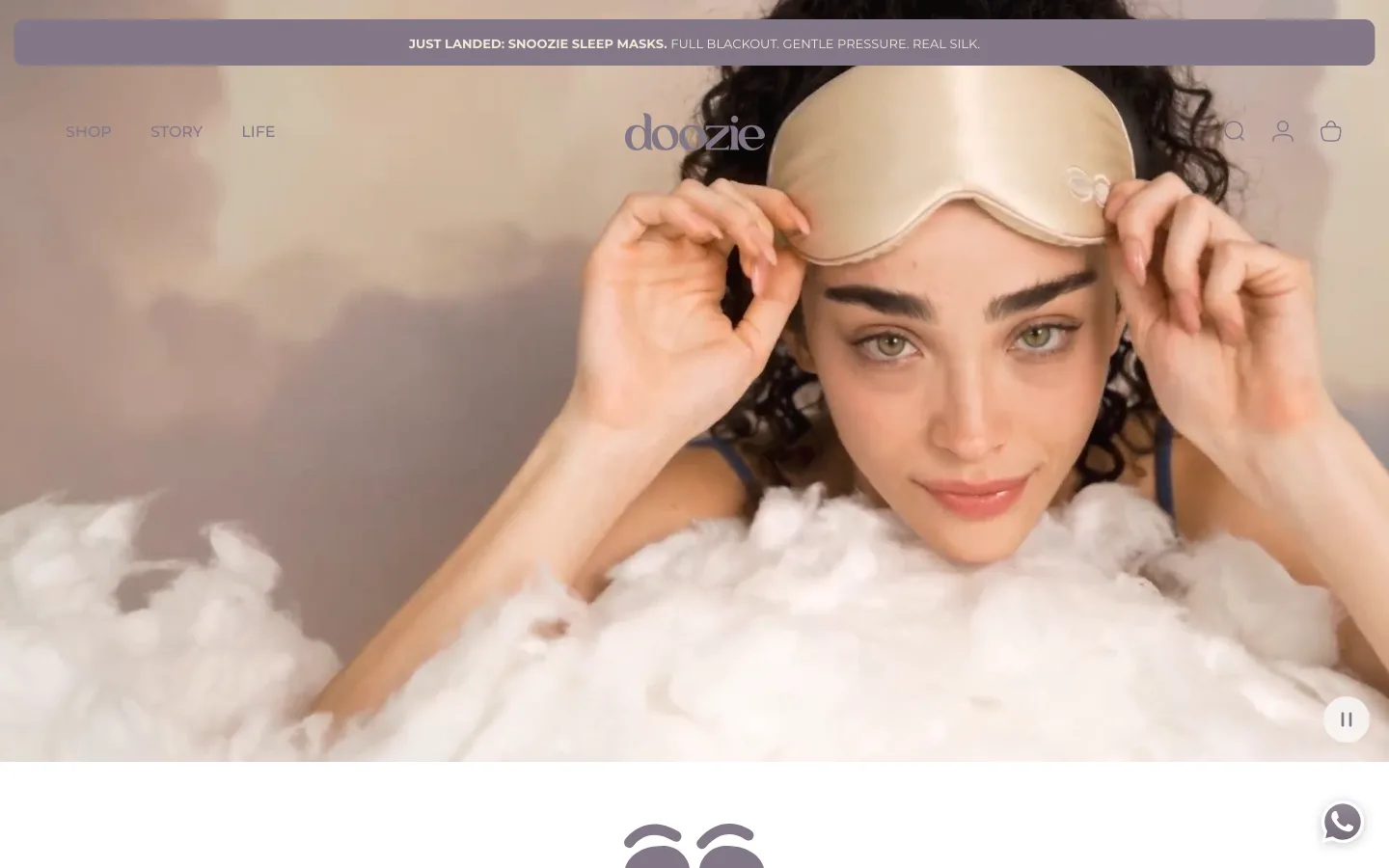 The Doozie store on a desktop screen